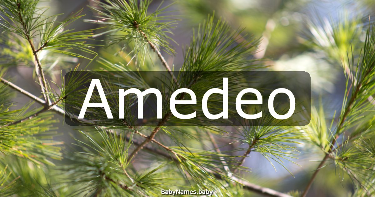 Amedeo