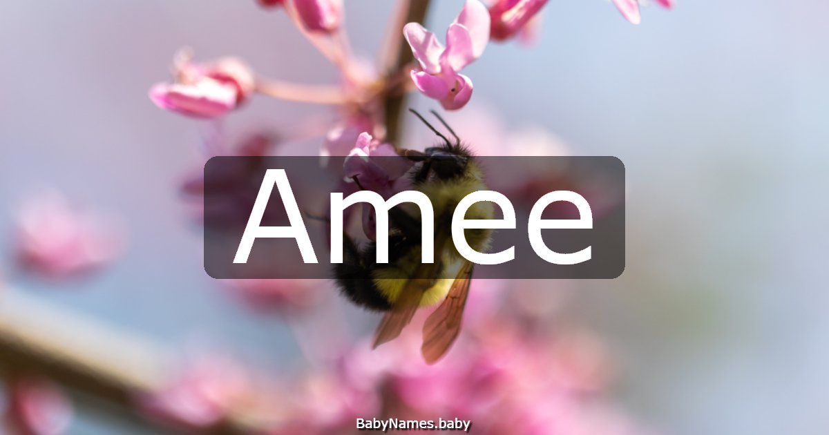 Amee