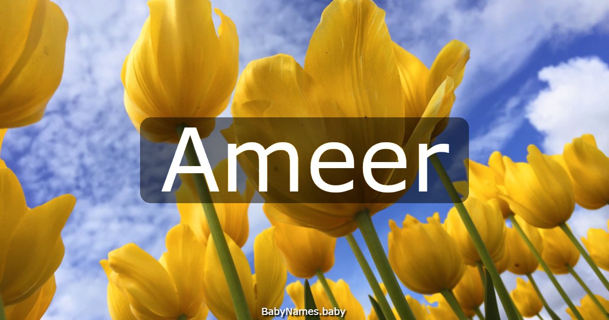 Ameer