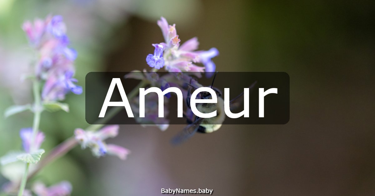 Ameur