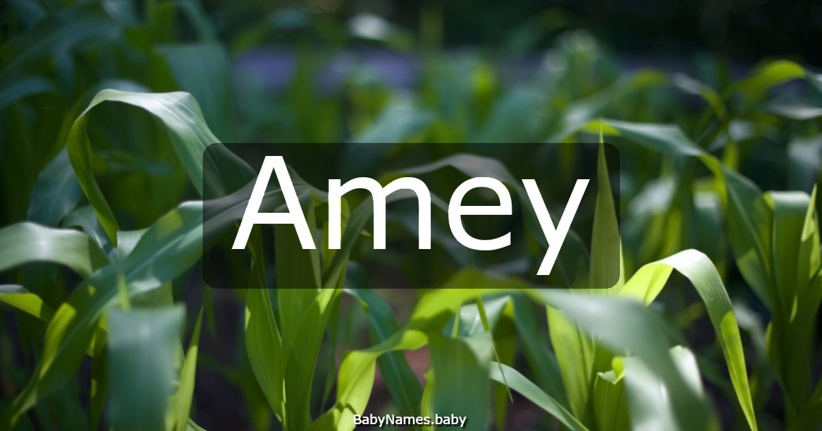 Amey
