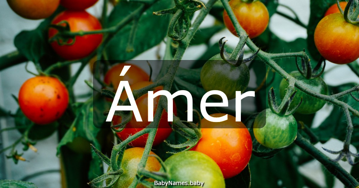 Ámer