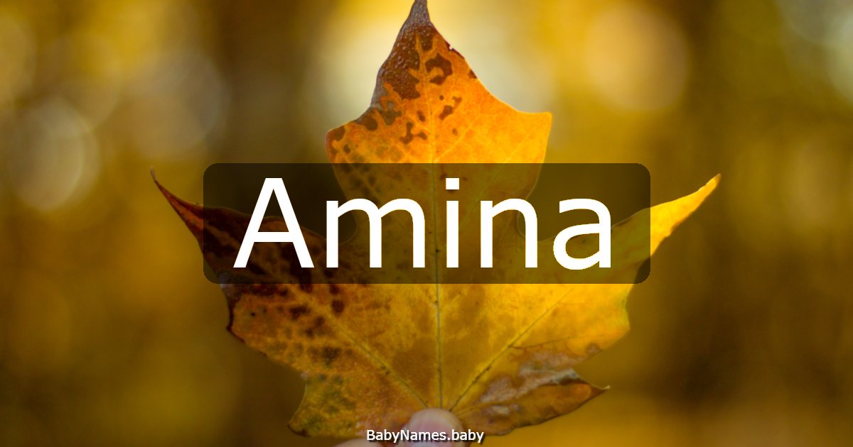 Amina