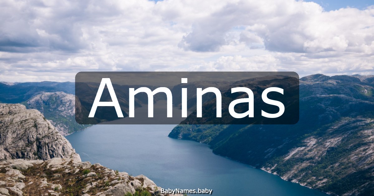 Aminas