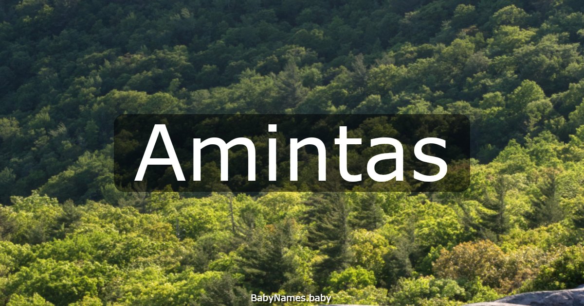 Amintas