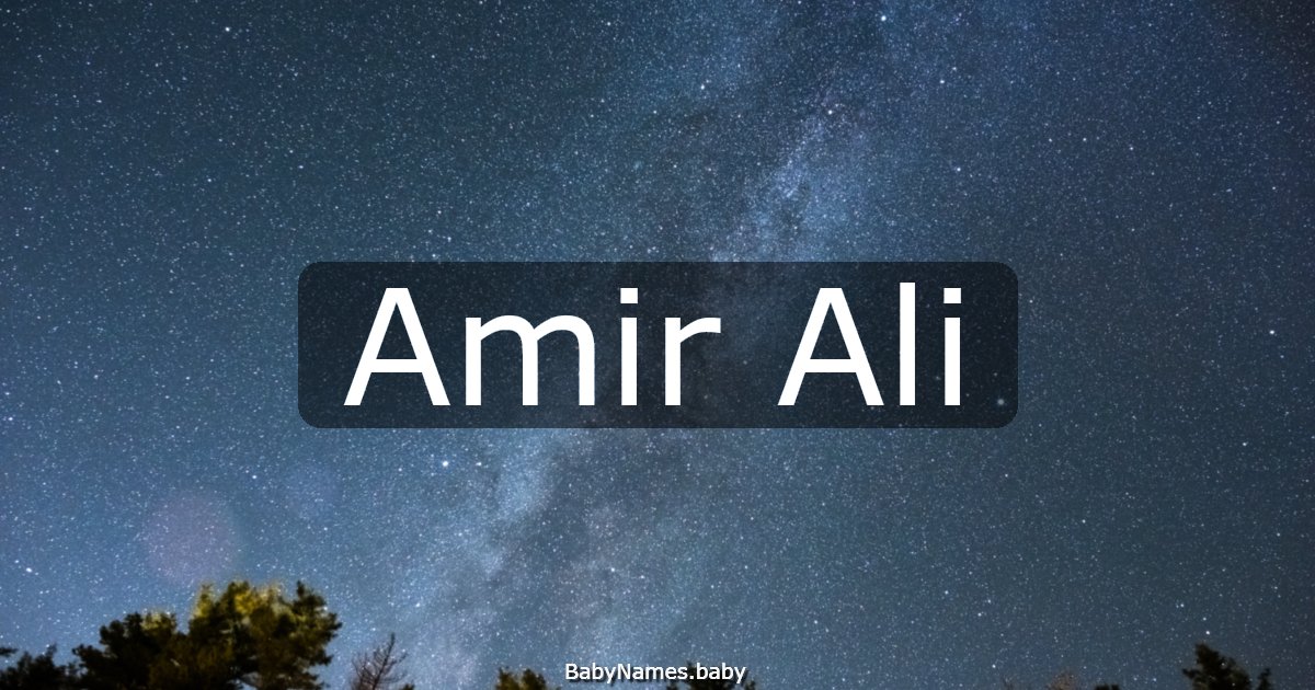 Amir Ali