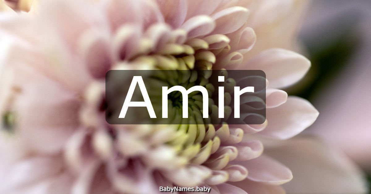 Amir