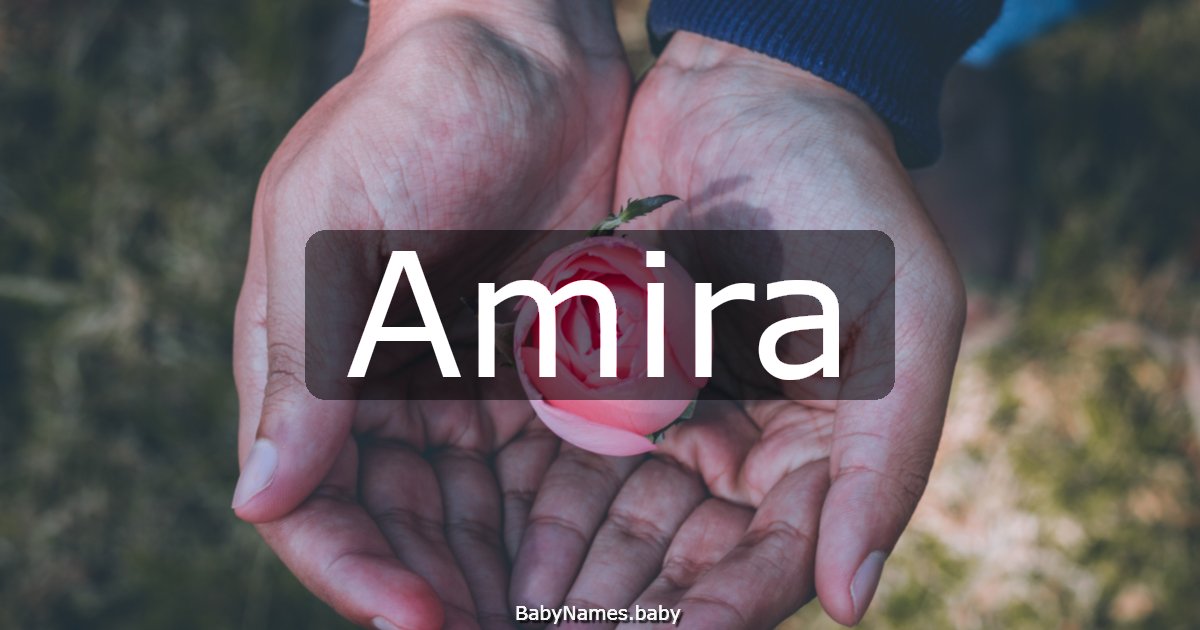 Amira