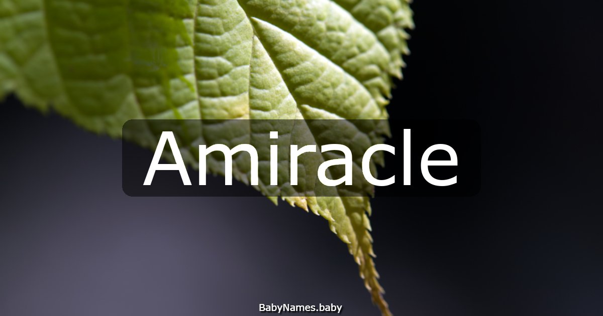 Amiracle