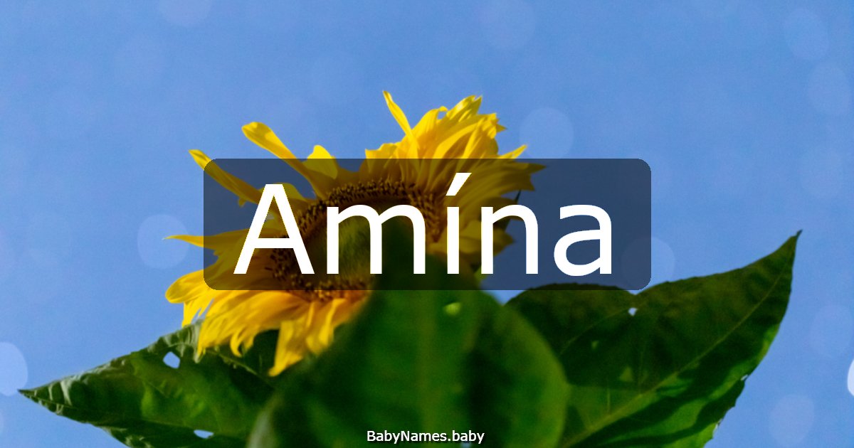 Amína