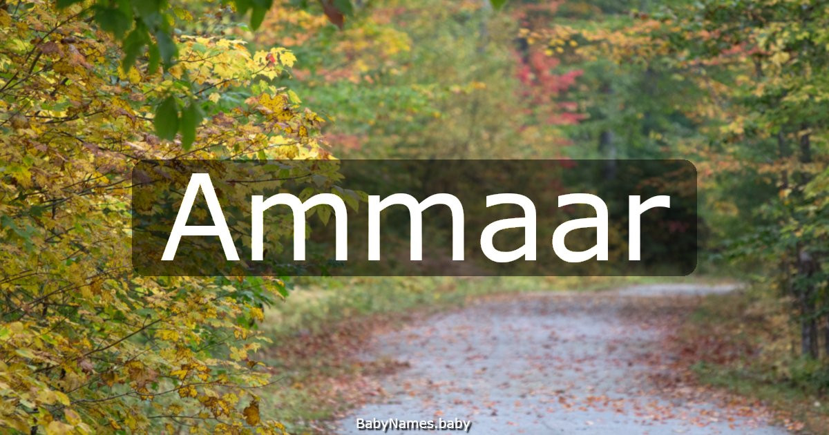 Ammaar