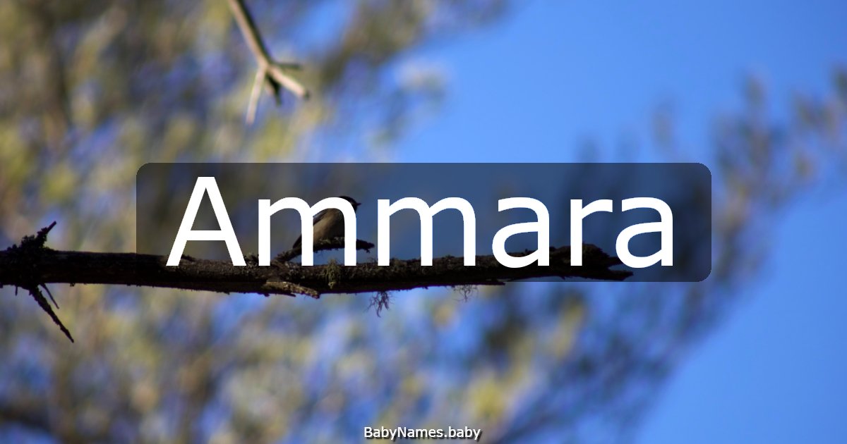 Ammara