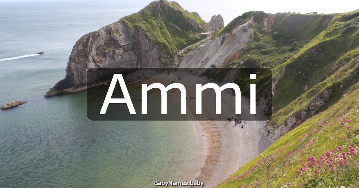 Ammi