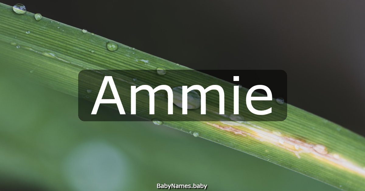 Ammie