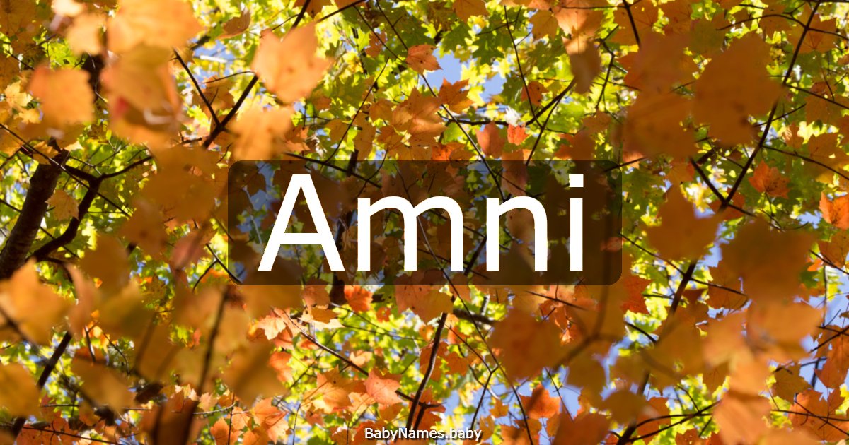 Amni