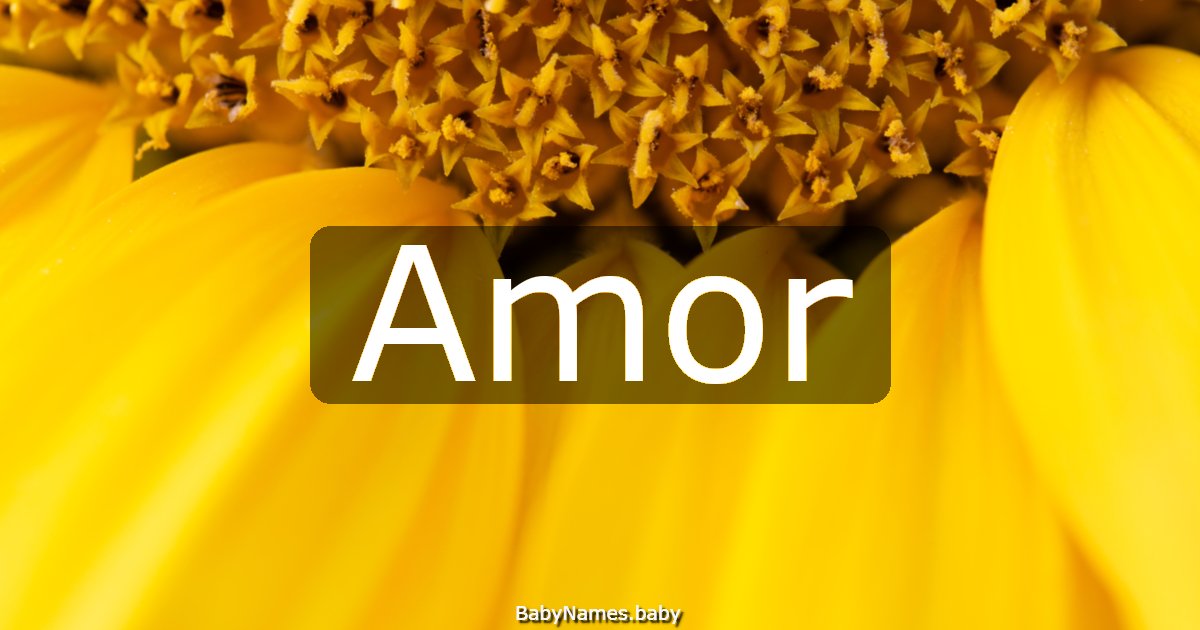 Amor