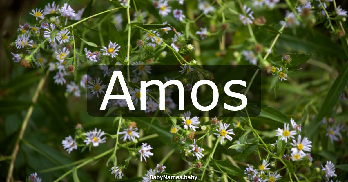 Amos