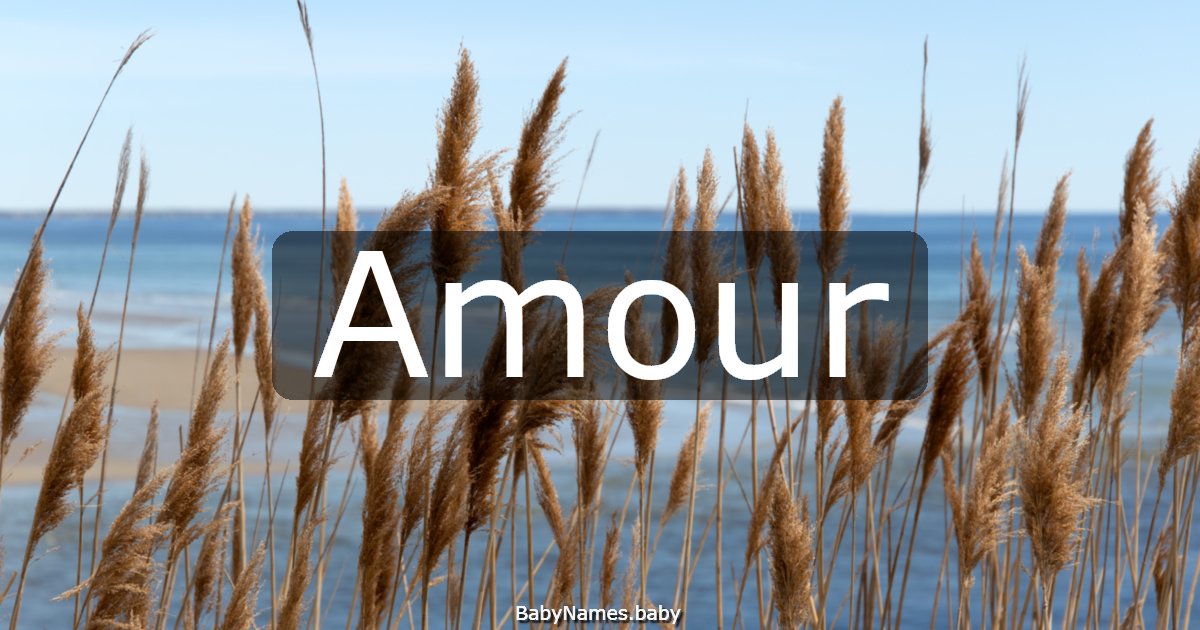 Amour