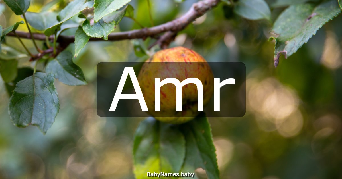 Amr