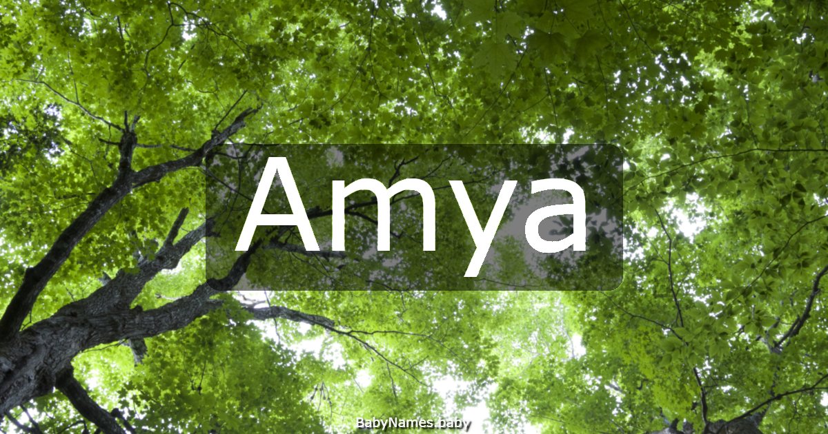 Amya