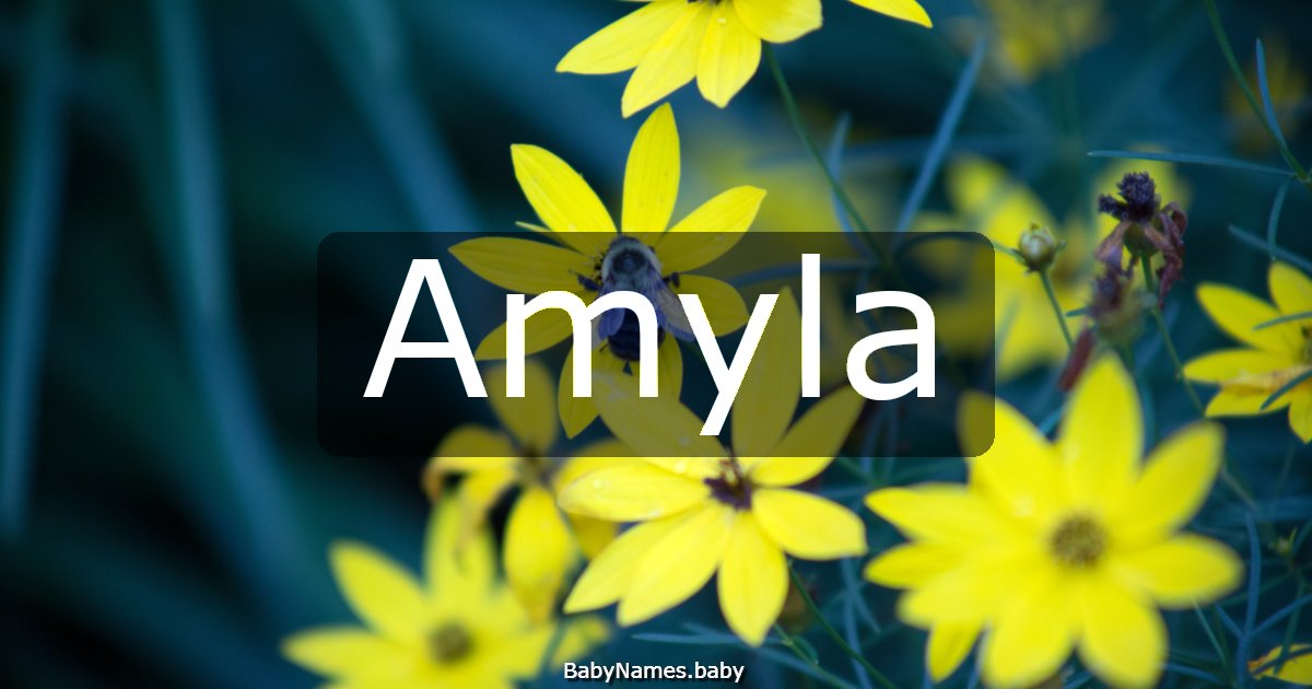 Amyla