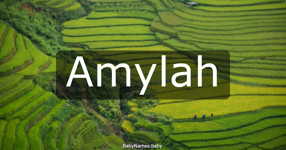 Amylah