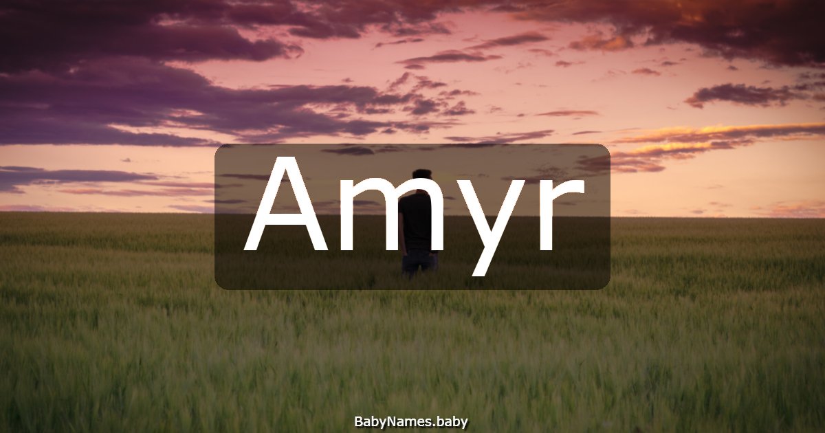Amyr