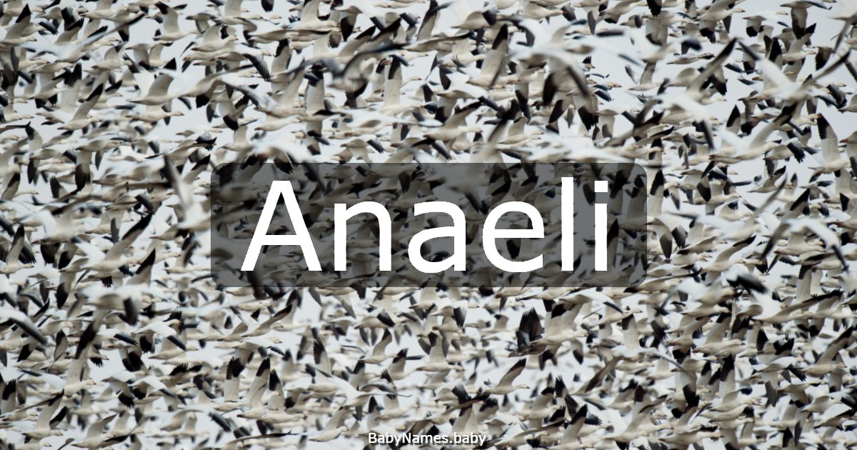 Anaeli