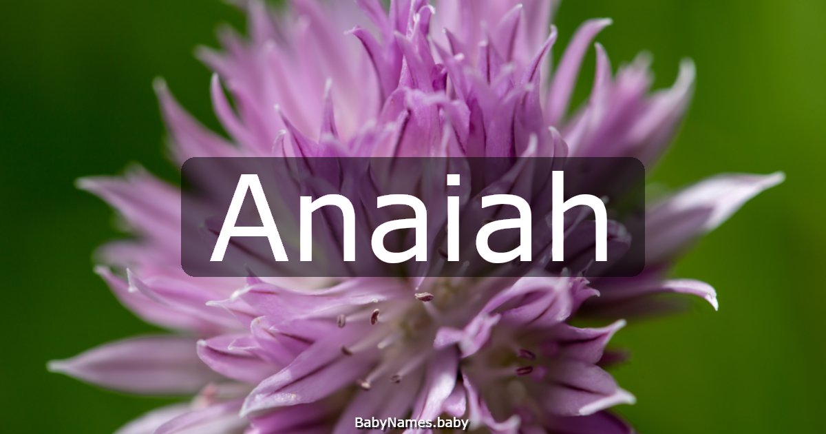 Anaiah