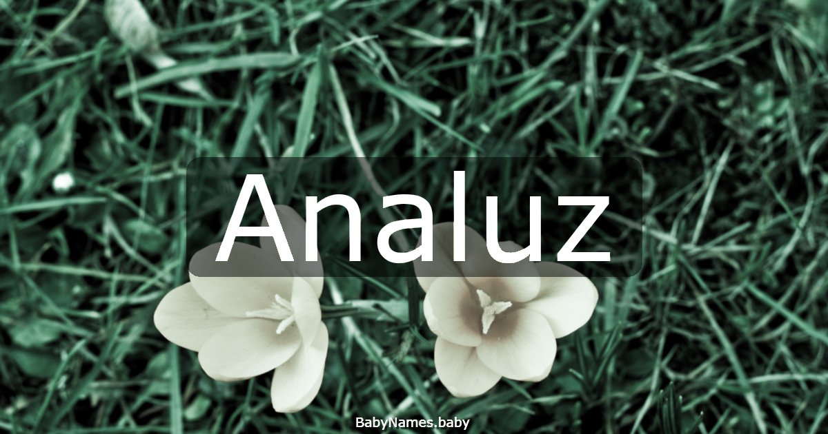 Analuz