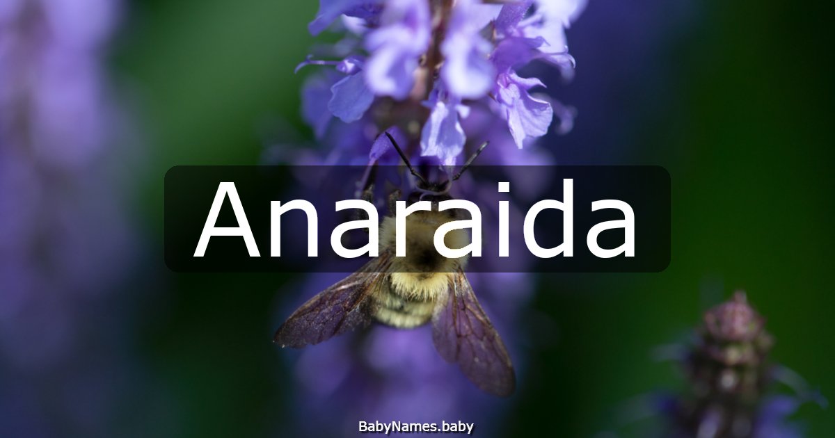 Anaraida