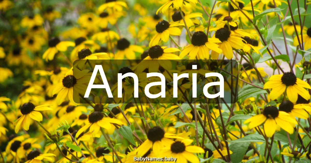 Anaria