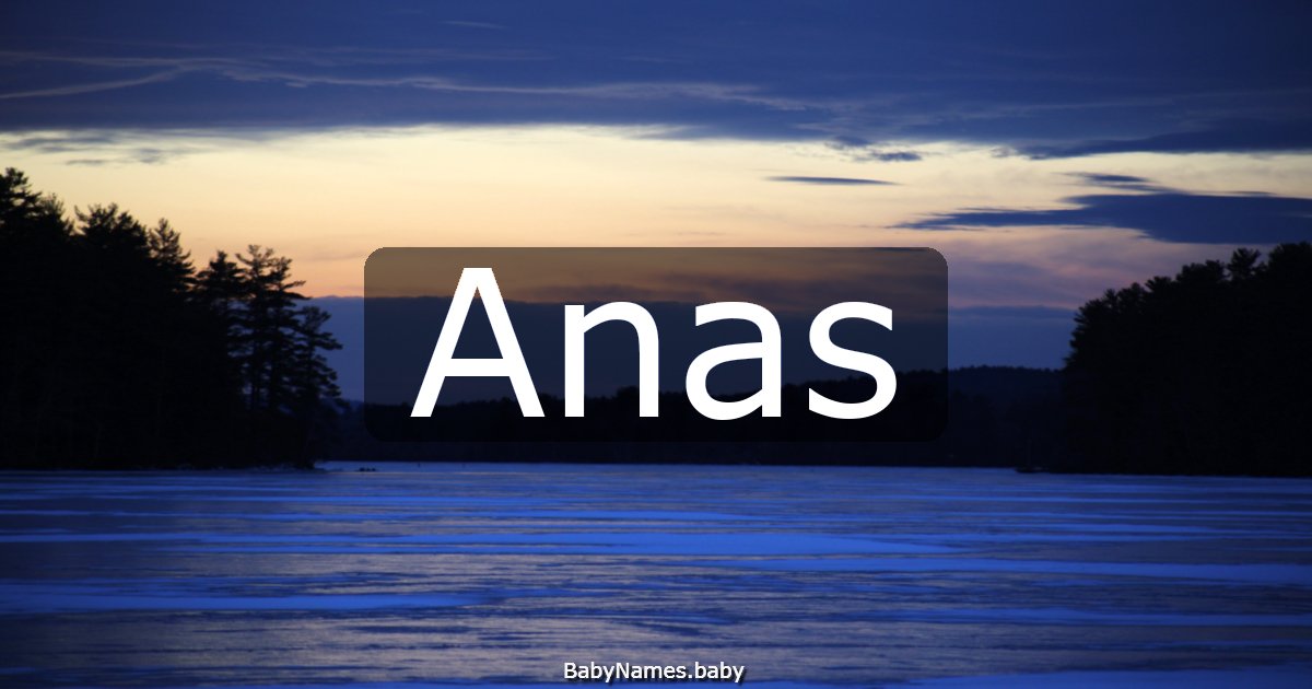 Anas
