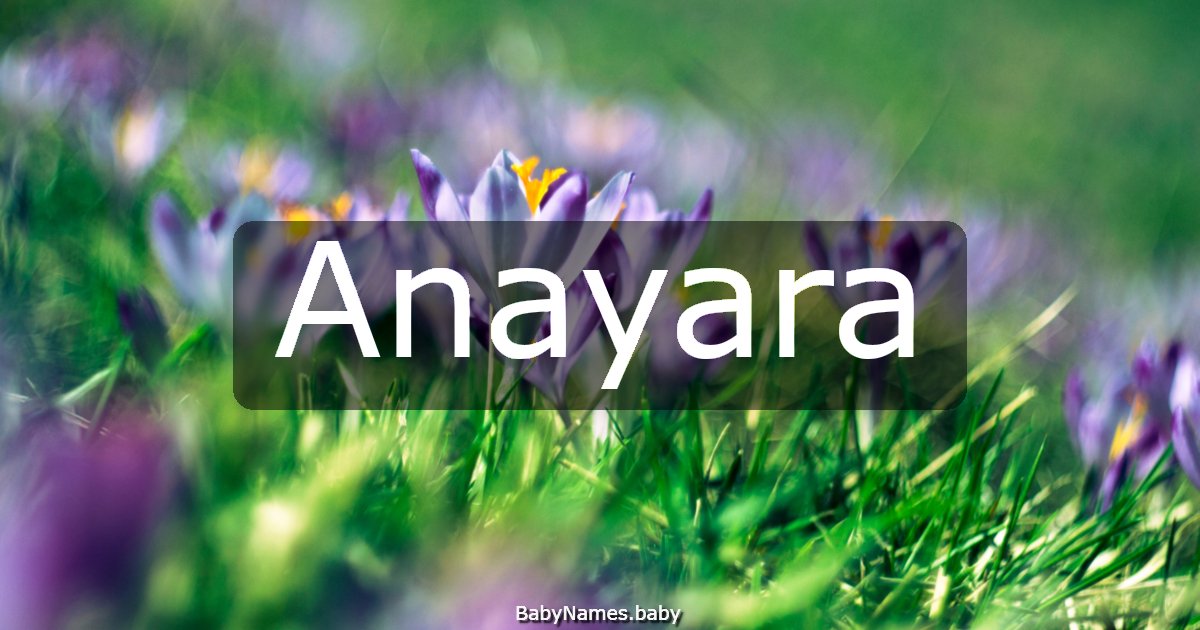 Anayara