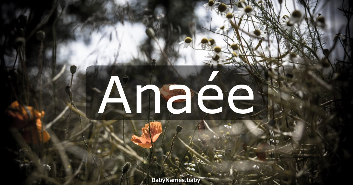 Anaée