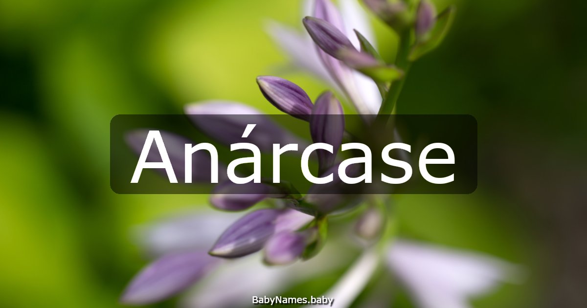 Anárcase