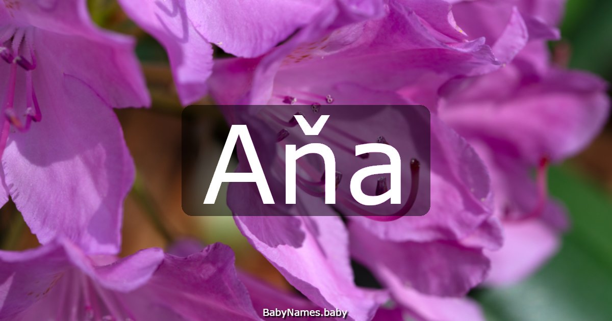 Aňa