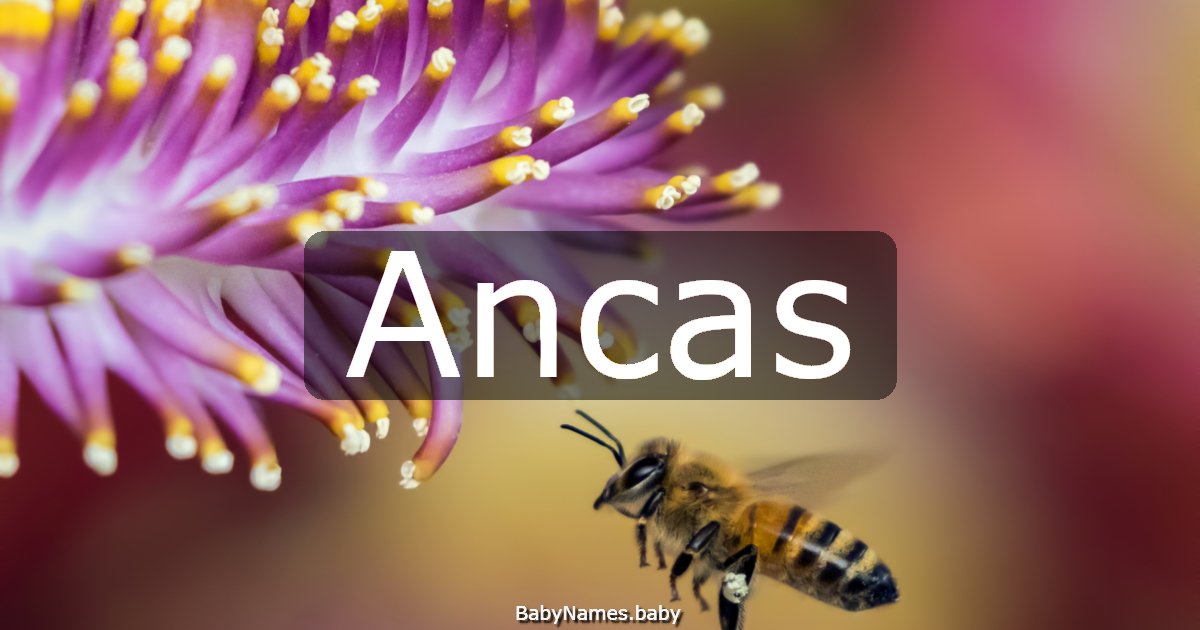 Ancas