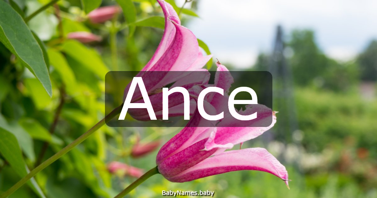 Ance