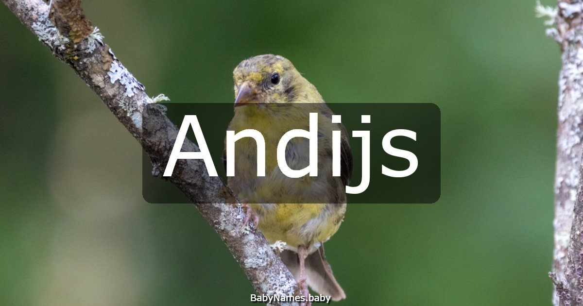 Andijs