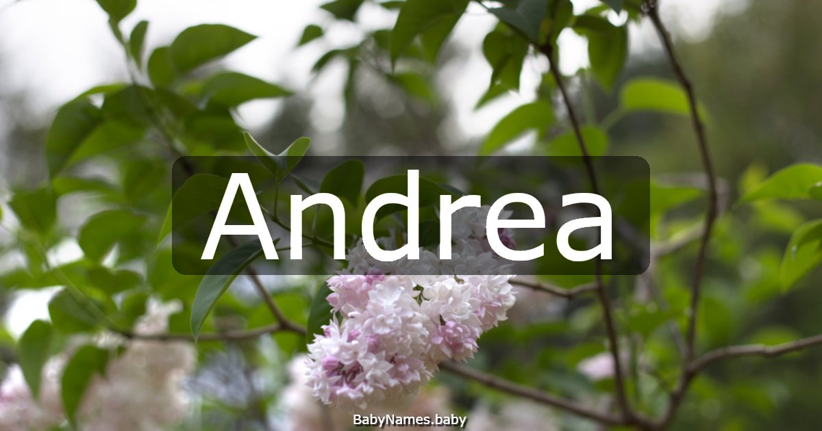 Andrea