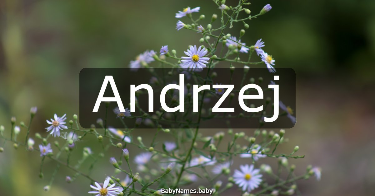 Andrzej