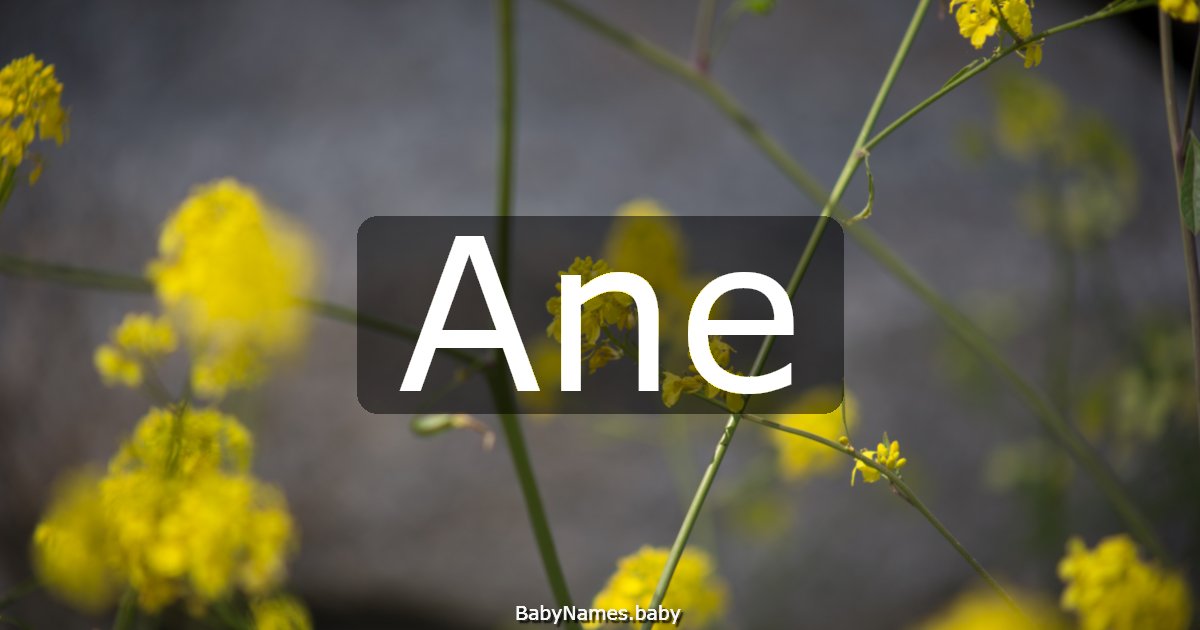 Ane