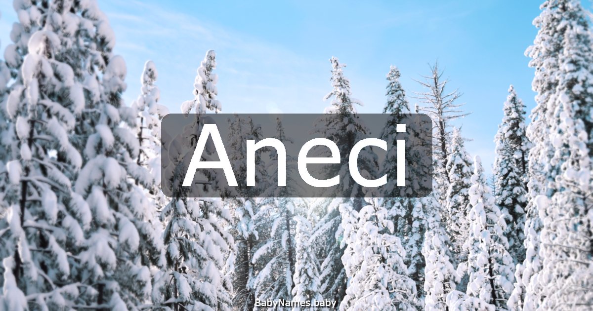 Aneci