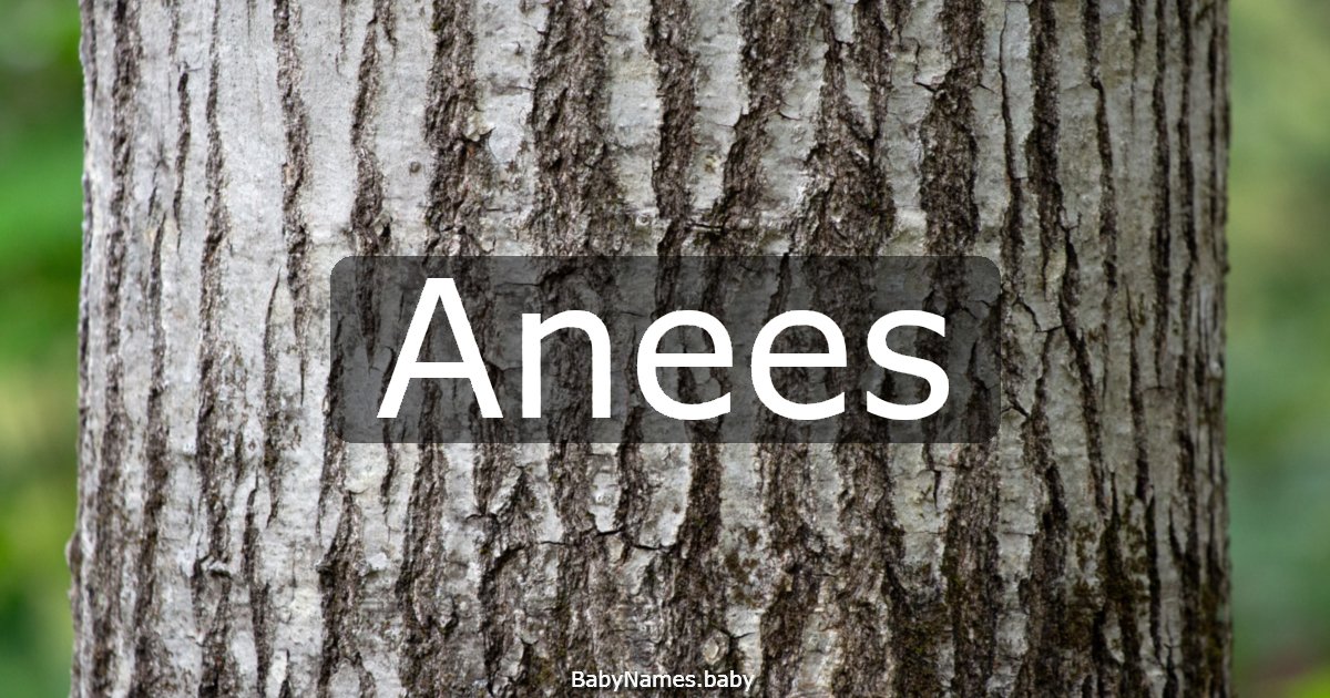 Anees