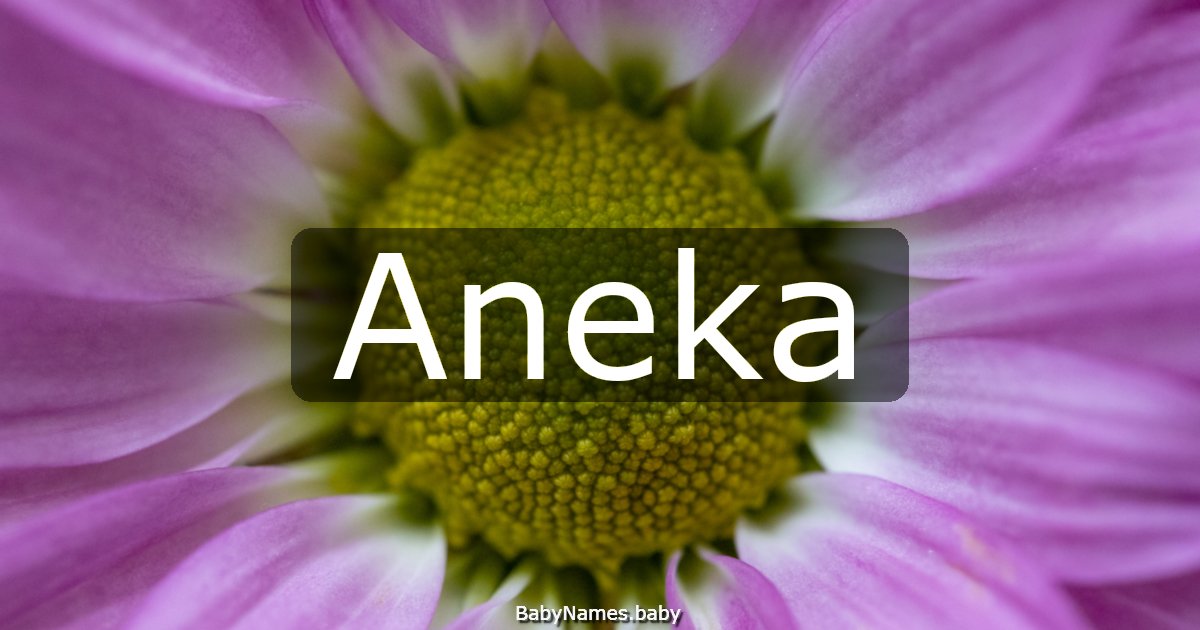 Aneka