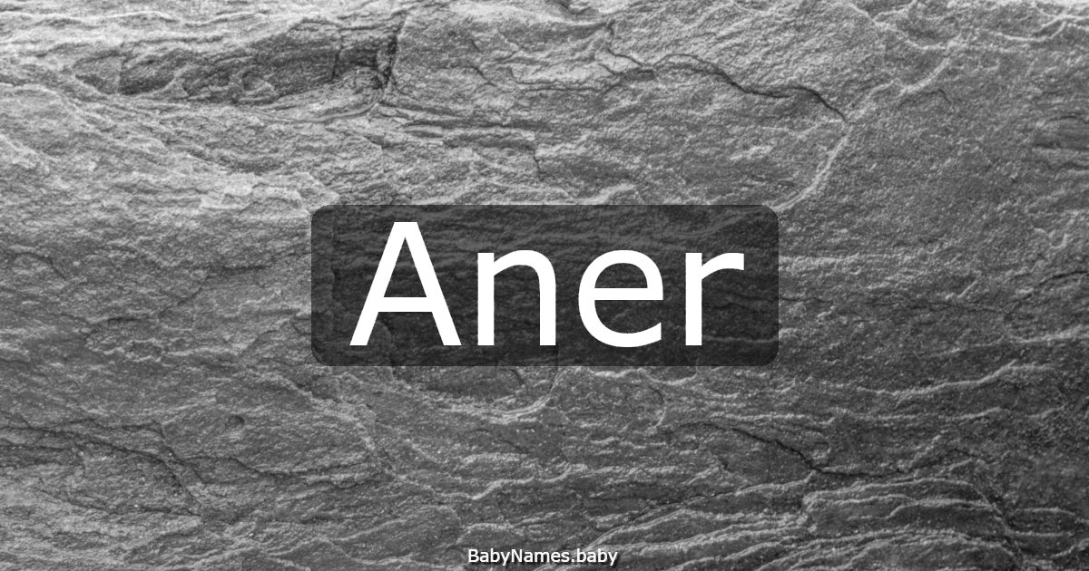Aner