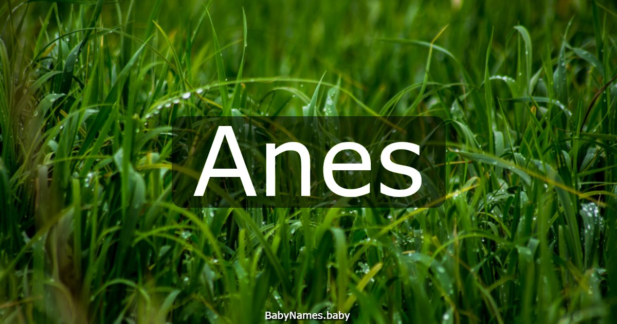 Anes