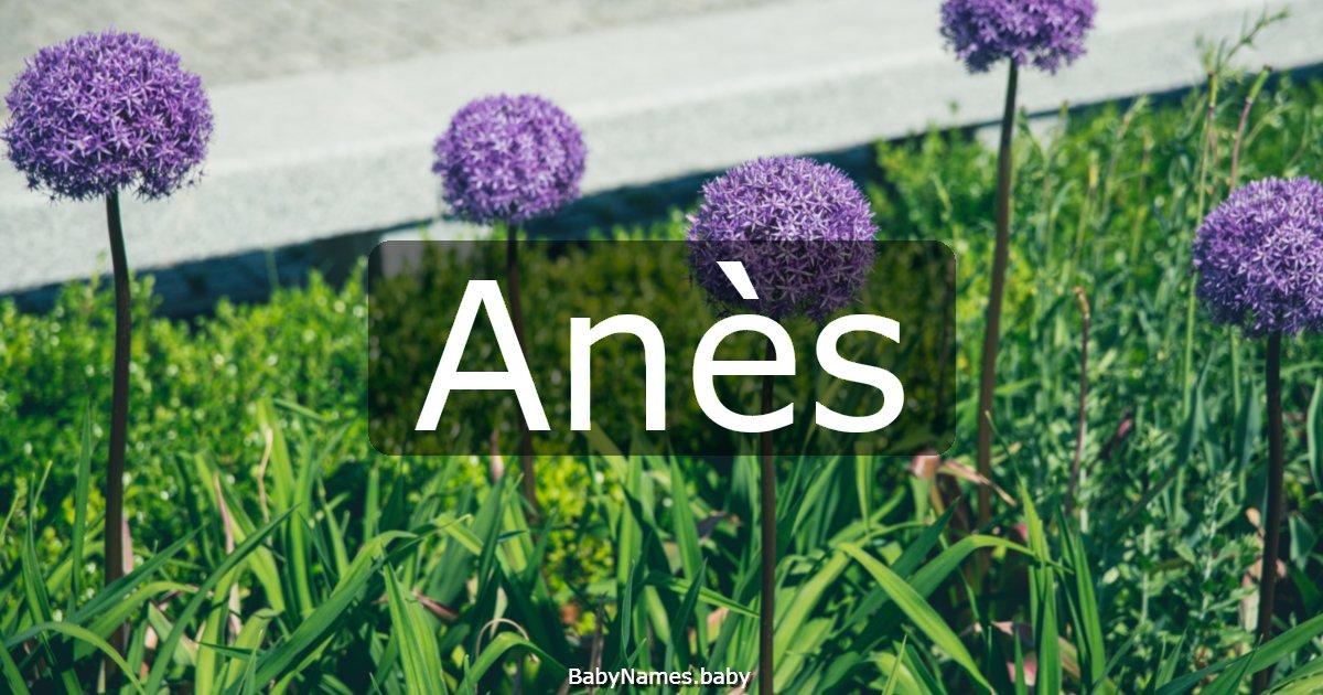 Anès