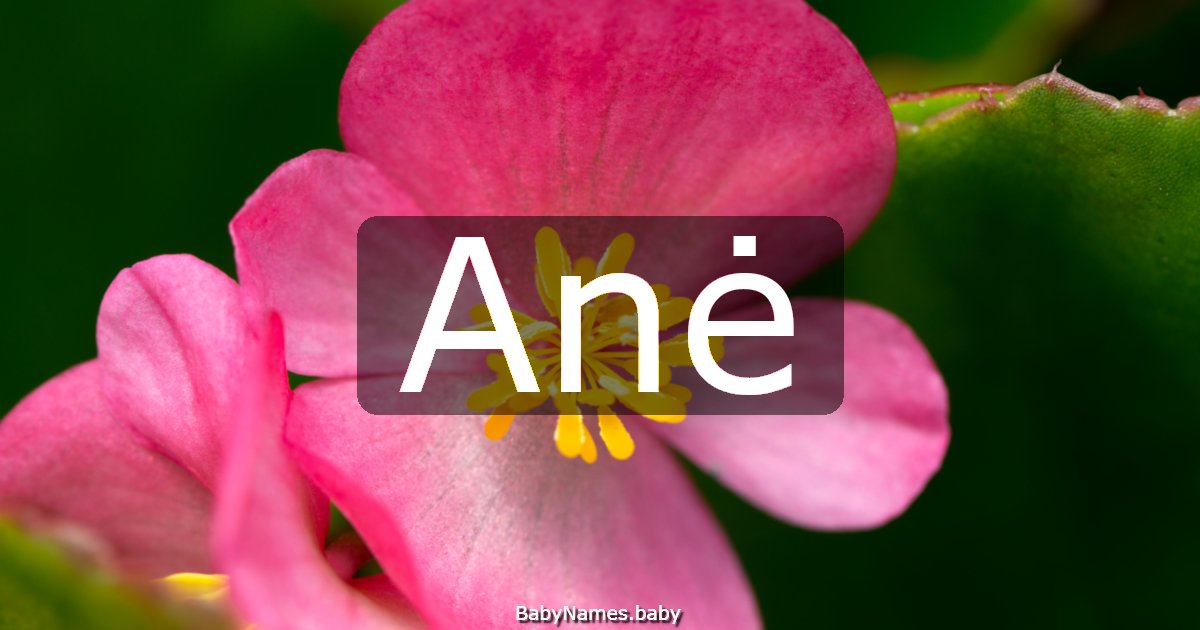 Anė